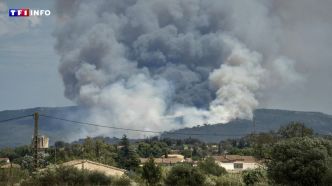 Pluies printanières, sécheresse et chaleur : un été sous haute tension sur le front des incendies | TF1 INFO