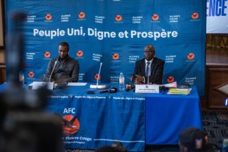 Est de la RD-Congo : selon l'ONU, le Rwanda veut contrôler le territoire et les ressources naturelles