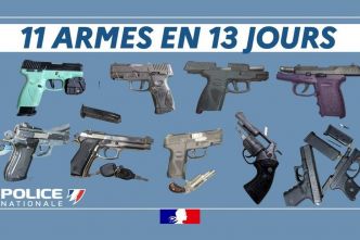 11 armes à feu retirées de la circulation en 13 jours par les forces de l'ordre en Guadeloupe