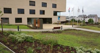 Frisange : le végétal s'invite sur le parvis de la mairie