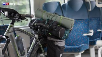 Voyager avec son vélo en train : ce qu'il faut savoir pour éviter les galères | TF1 INFO
