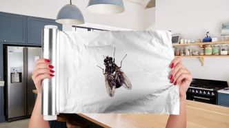 Cette astuce magique avec du papier aluminium pour faire fuir les mouches