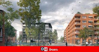 Une "erreur d'interprétation massive” : Les Verts et le MR relativisent fortement les conséquences d'un moratoire sur l'urbanisation des friches