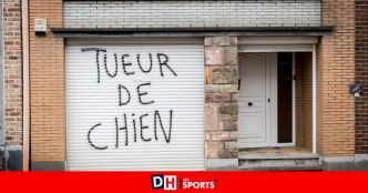 Mort d'Arès à Dalhem : Après le "tueur de chien”, c'est la meute qui mord...