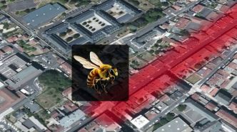 "On a entendu une personne ou deux crier" : 24 personnes piquées, dont des pompiers dans une attaque d'abeilles à Aurillac