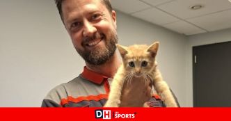 Belle histoire à Ans : un chaton coincé sous le capot d'une voiture sauvé et adopté... par un pompier !