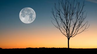 Pleine Lune du Cerf: comment voir ce spectacle rare à couper le souffle ?