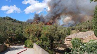 Incendie de Narbonne : "On a cette épée de Damoclès chaque été", à l'abbaye de Fontfroide 150 visiteurs ont été évacués avant la fermeture du site