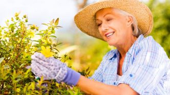 Canicule : elle pensait simplement arroser ses plantes et faire un peu de jardinage, ce geste lui a coûté la vie