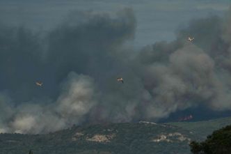 1.450 hectares ravagés par le feu près de Narbonne : des habitants évacués, l'A9 fermée