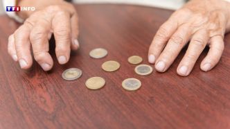 La pauvreté atteint un niveau record en France : les chiffres "alarmants" de l'Insee | TF1 INFO