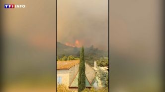 "C'est un peu terrifiant" : les images de l'impressionnant incendie près de Narbonne | TF1 INFO