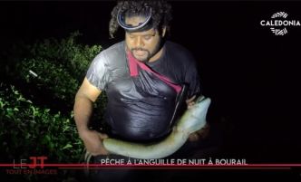 Pêche à l'anguille à Bourail, triathlon aux Mini-jeux... Le JT de Caledonia du 7 juillet