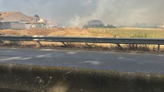 Incendie près de Béziers : huit hectares de végétation détruits et des maisons évacuées