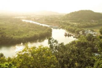 125 milliards $ pour les forêts : une opportunité pour l'Afrique mais des défis à relever