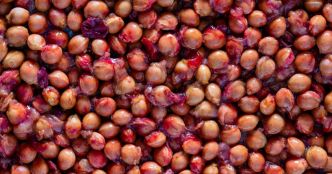 Que faire avec ses noyaux de cerises ? 5 idées ingénieuses pour ne plus les jeter.