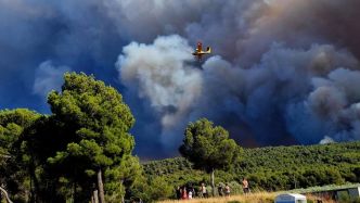 Incendie près de Narbonne : 1 500 hectares de forêt en feu, A9 fermée, habitants évacués et un feu toujours actif... le point sur la situation