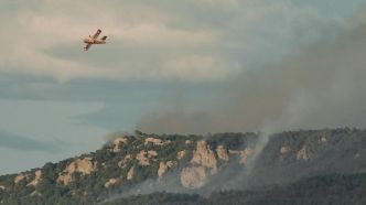 DIRECT. Incendie près de Narbonne : près de 2 000 ha parcourus, le feu « continue de progresser »