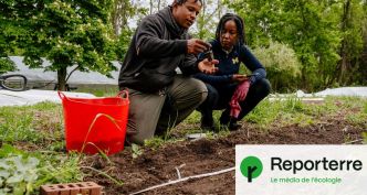 L'agriculture, un outil de « libération » pour les Afro-Américains de Détroit