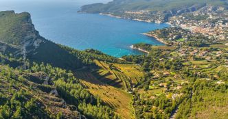 Œnotourisme entre Cassis et Bandol : nos meilleures adresses pour une évasion ensoleillée