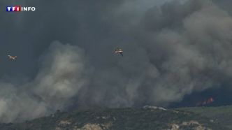 Incendie dans l'Aude : pourquoi est-il si difficile de venir à bout des flammes ? Les explications du préfet sur LCI | TF1 INFO