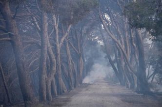 Un incendie dans l'Aude ravage plus de 2000 hectares de forêt, l'A9 fermée par précaution et les habitants confinés
