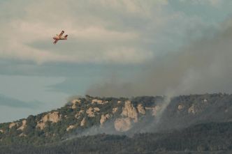 Incendie près de Narbonne : 2 000 hectares de forêt touchés, l'autoroute A9 encore partiellement fermée