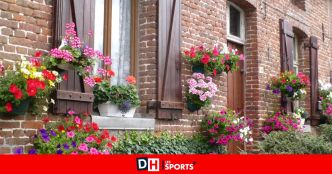 Les Écaussinnois invités à fleurir leur façade : "Une commune fleurie est accueillante et agréable à vivre”