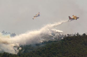 Incendie ravageur près de Narbonne : 1 500 hectares touchés, l'A9 coupée et des pompiers blessés