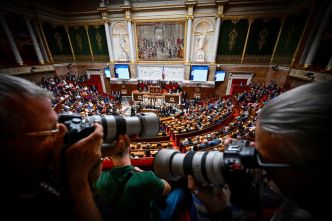 Lois Duplomb, PLM, audiovisuel public... Au Parlement, le grand foutoir avant l'été