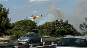 Spectateurs de l'incendie près de Narbonne, ces habitants de l'Aude sont complètement sidérés