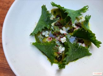 6 nouveaux restaurants coups de cœur à tester absolument en juillet à Paris
