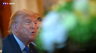 "Mécontent" contre Poutine, Trump va "envoyer plus d'armes défensives" à l'Ukraine | TF1 INFO