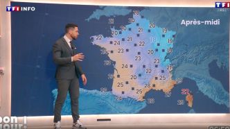 VIDÉO - Les prévisions météo du mardi 8 juillet par Ange Noiret | TF1 INFO