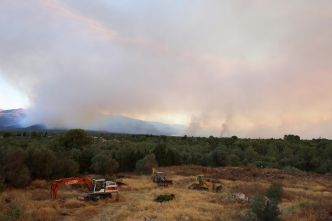 En Espagne, un incendie près de Tarragone ravage plus de 2 300 hectares de forêt et contraint plusieurs villages au confinement