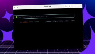 Linux : comment installer l'outil de ligne de commande de Gemini