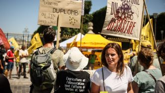 Loi Duplomb : néonicotinoïdes, accès à l'eau et nombre d'animaux par élevage... ce que contient la proposition de loi controversée