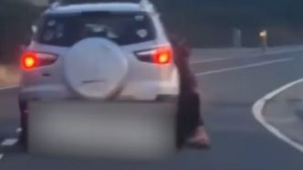 Il traîne son chien derrière sa voiture sur plusieurs kilomètres, des internautes brûlent sa maison pour venger l'animal