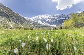 Escapades en Haute-Savoie : les femmes du Mont-Blanc