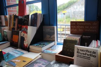 Aides publiques au livre : au Sénat, des analyses "largement infondées” ?