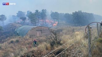 Impact du changement climatique sur les incendies : "Une cendre chaude suffit à faire partir un feu" | TF1 INFO
