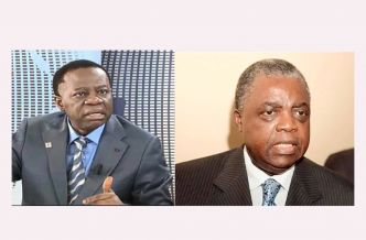 Cameroun-candidature de Paul Biya : les ministres Jacques Fame Ndongo et René Emmanuel Sadi se contredisent