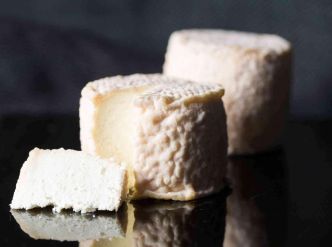 Encéphalite à tiques : attention aux fromages au lait cru...