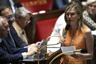 Loi Duplomb sur l'agriculture : que contient le texte qui doit être voté à l'Assemblée nationale ?