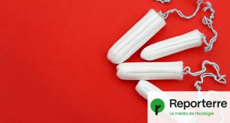 Couches, tampons... Le Conseil d'État saisi pour faire payer les déchets aux fabricants