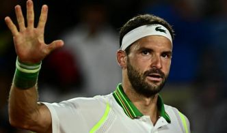 « Ce n'est qu'un moment qui passera et te rendra encore plus fort », la petite amie de Dimitrov réagit après son abandon à Wimbledon