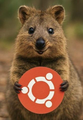 Ubuntu 25.10 ferme la porte à la plupart des solutions RISC-V