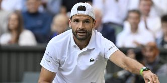 Eiza Gonzalez (compagne de Dimitrov,   blessé face à Sinner) : « Te voir sur ce match m'a rappelé qui tu es. Nous l'avons tous vu »