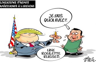 Vu par... Dilem