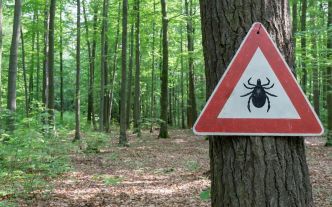 De l'Alsace à l'Auvergne : l'encéphalite à tiques gagne du terrain en France